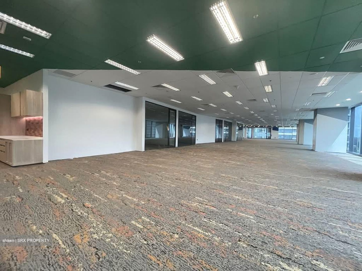 Mapletree Business City (D5), Office #544157451